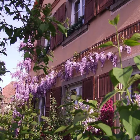 Maison D'hotes Les Seraphins Отель типа 